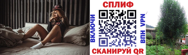 Бошки марихуана гибрид  продажа наркотиков  Старица 